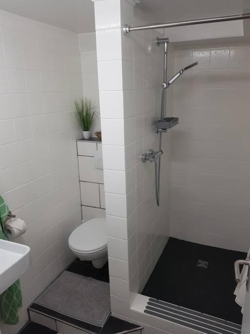 Ferienwohnung Bela, Naehe Nuerburgring Luxem Ngoại thất bức ảnh